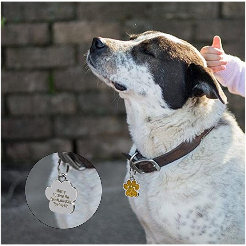 Dog Collar Id Tags Factory - Wholesale Blank Custom Engraving Name with Ring