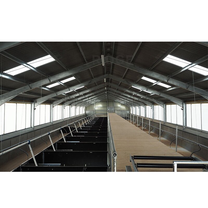 Light Steel Frame Sheds Manufacturer - OEM/ODM Pig Farm Equipment and Piggy Cage Sow House