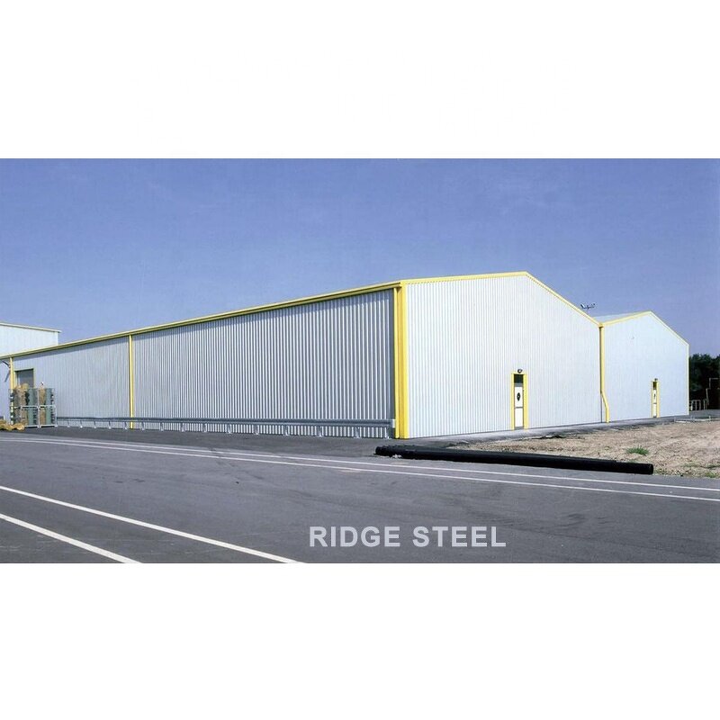 Steel Warehouse Buildings Manufacturer - OEM/ODM Garden Waterproof Building Plans Storage Industrial