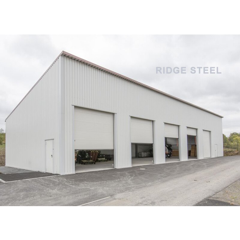 Steel Structure Building Factory - OEM/ODM Building Materials for House Construction with Ce