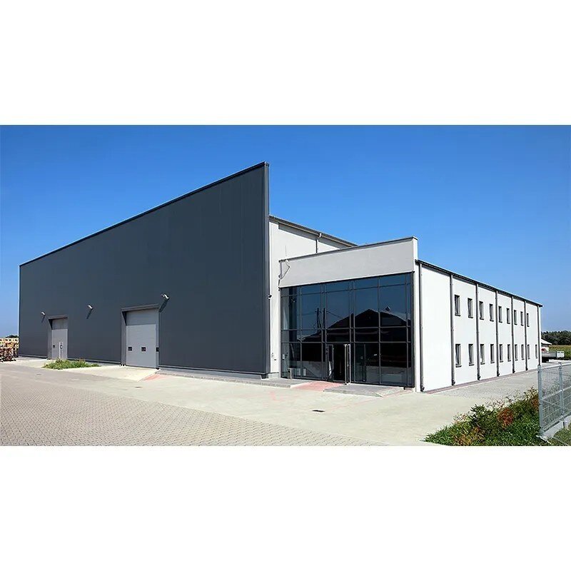 Steel Structure Warehouse Manufacturer - OEM/ODM Competitive Price Workshop Construction House-Style