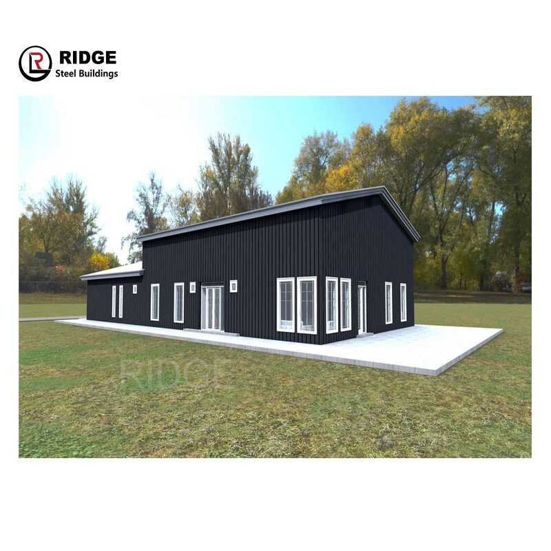 Metal Storage Shed Factory - OEM/ODM Hot Sale Multi-Functional Waterproof with Windows for Outdoor