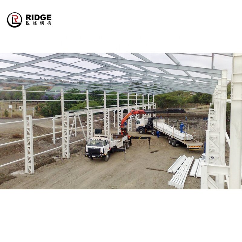 Steel Structure Warehouse Manufacturer - OEM/ODM Metal Skylight Dome Roofing Shed Structural Fabrication