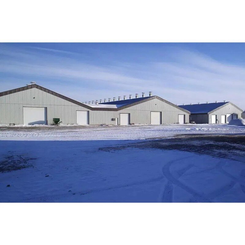 Steel Structure Warehouse Manufacturer - OEM/ODM Competitive Price Workshop Construction House-Style