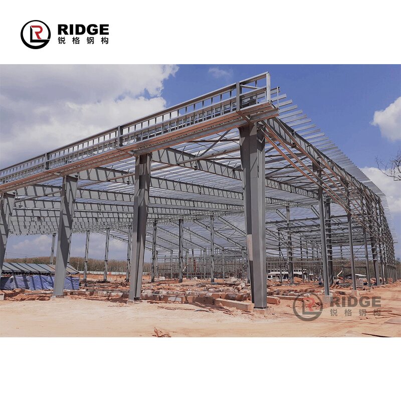 Prefabricated Steel Warehouse Manufacturer - OEM/ODM Large Span Export Tanzania Zambia Cheap Light