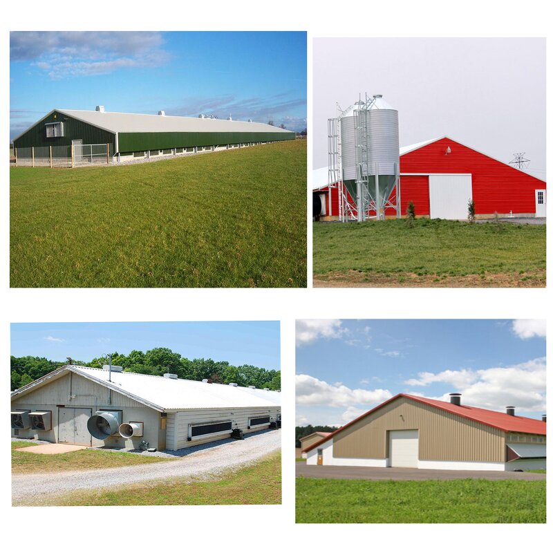 High Strength Steel Framing Factory - OEM/ODM Modern Chicken House 30000 Import Export Building