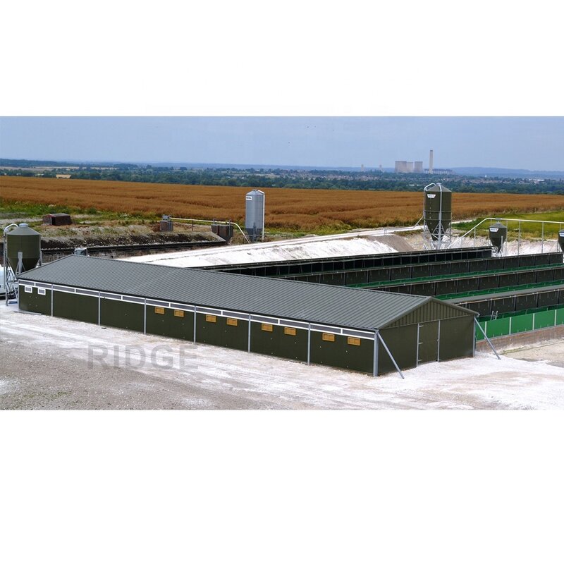 Cow Dairy Farm Design Manufacturer - OEM/ODM 20 Cow Shed Farm Building Cattle Sheds for Flat