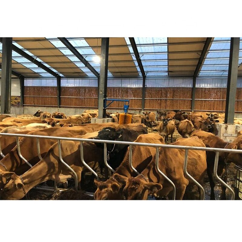 Egg Chicken Breeder Barns Factory - OEM/ODM House and Professional Layer Houses Construction