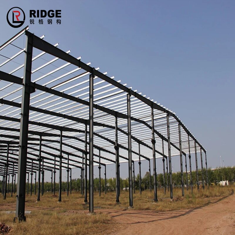 Steel Structure Shop Factory - OEM/ODM Turn Key Construction Metal Chicken House Garden Buildings