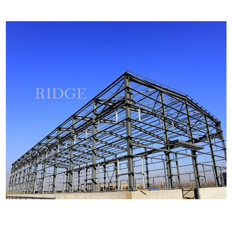 Prefabricated Steel Structure Manufacturer - OEM/ODM Fast Construction Galvanized H-Beams Shed Building