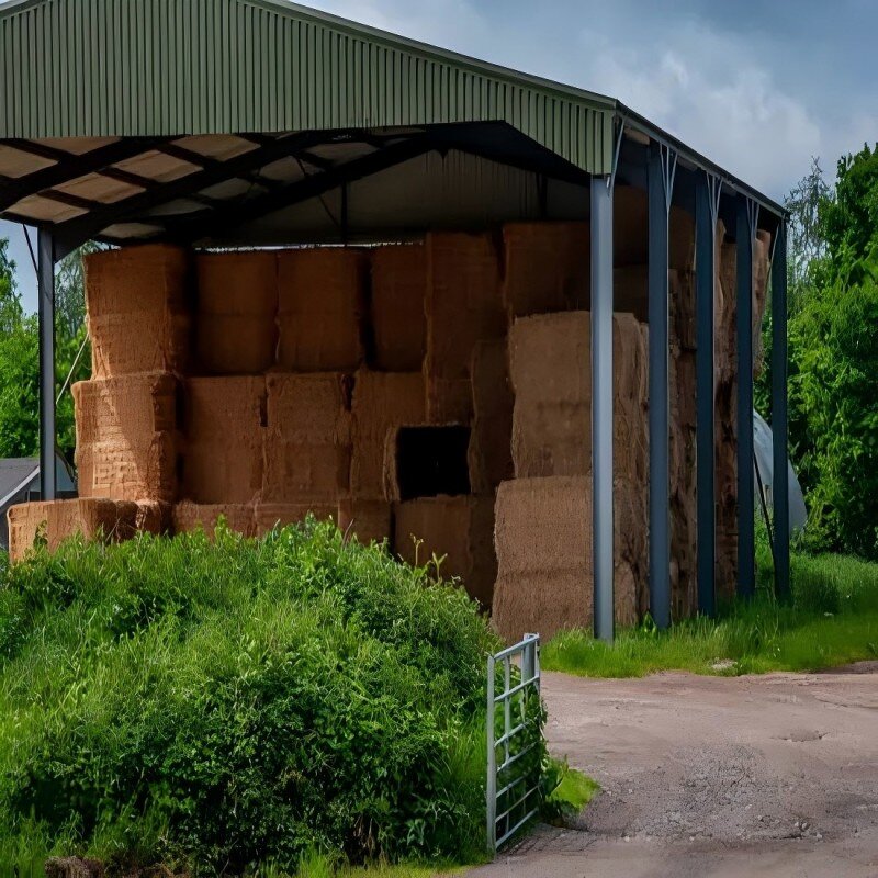 Prefabricated Steel Structure Manufacturer - OEM/ODM Warehouse Horse Barn with Riding Shed Modern