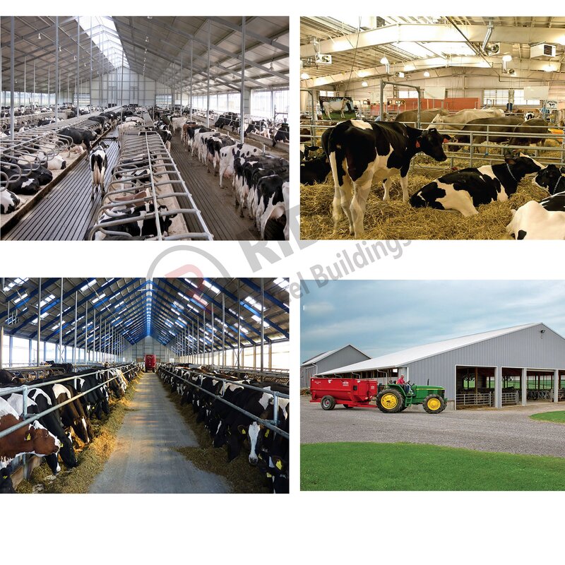 Building Steel Structure Manufacturer - OEM/ODM Low Cost of Pig Cow Shed Poultry Chicken Farm Layer