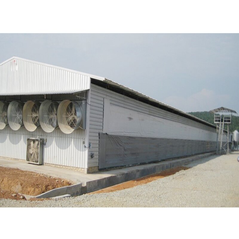 Prefabricated Building Factory - OEM/ODM Low Cost High Quality Steel Structure Chicken Shed Poultry