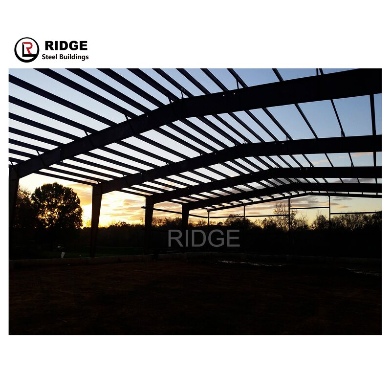 Easy Installation Dairy Farm Building Factory - OEM/ODM Light Steel Structure Milk Cow Shed