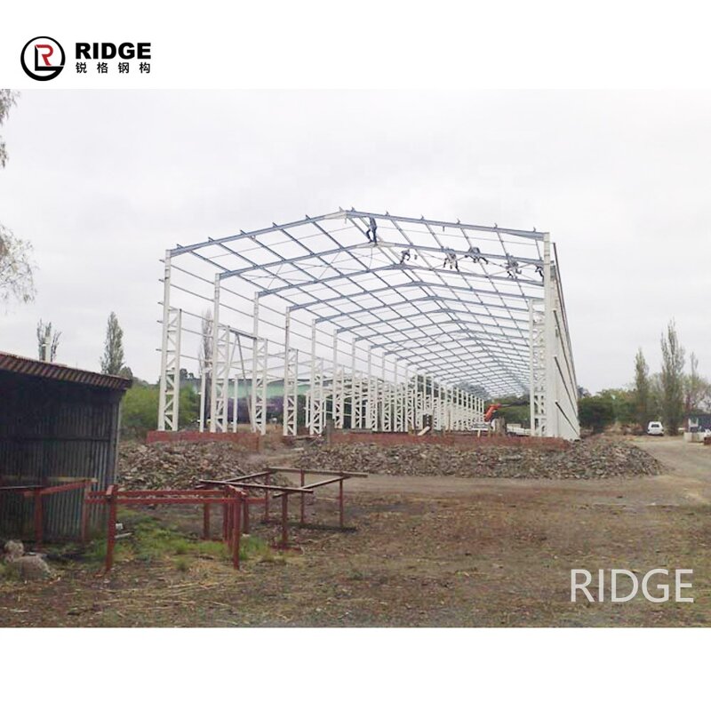 Steel Structure Warehouse Manufacturer - OEM/ODM Metal Skylight Dome Roofing Shed Structural Fabrication