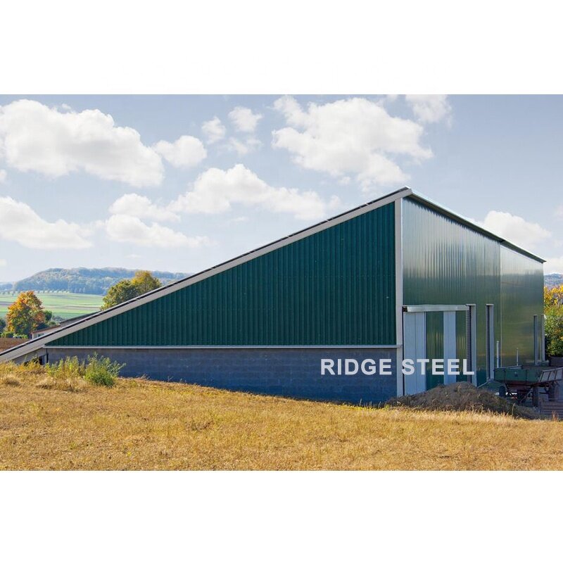 Steel Beam Sheds Factory - OEM/ODM Low Price Storage Outdoor Garden Prefabricated Tool Warehouse