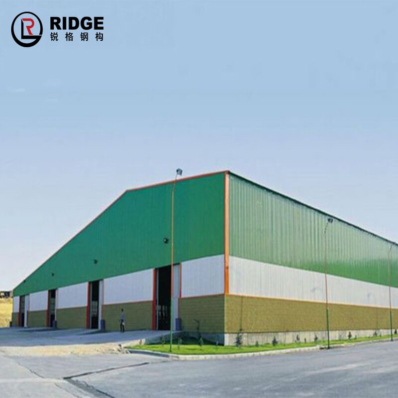 Steel Structure Shop Factory - OEM/ODM Turn Key Construction Metal Chicken House Garden Buildings