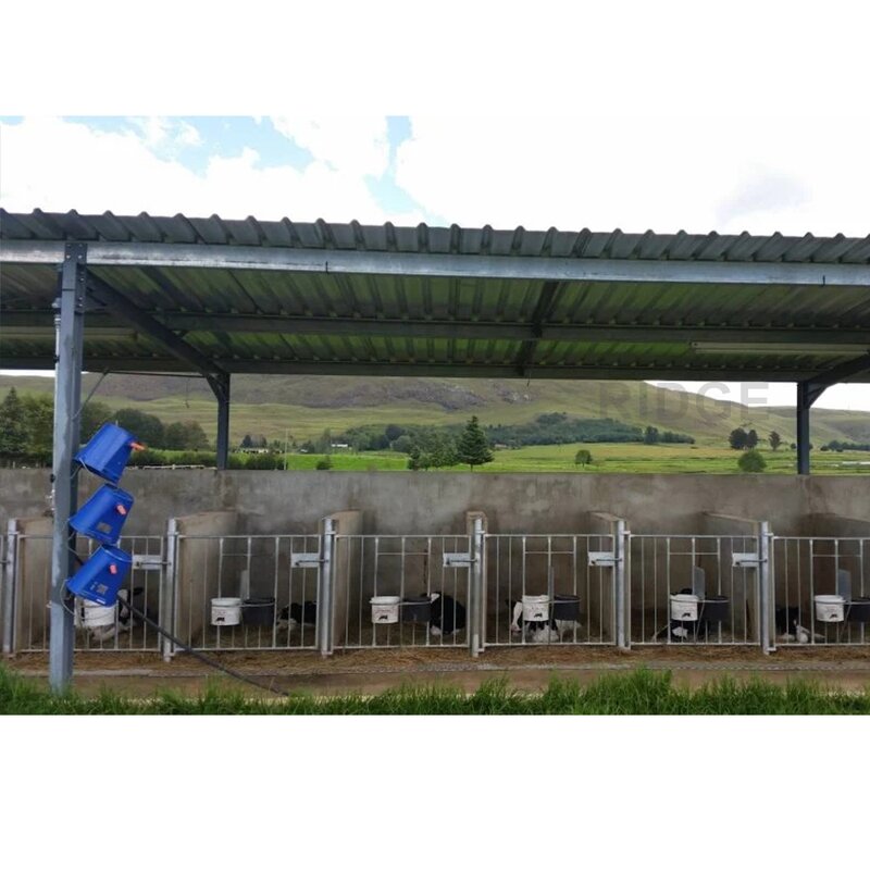 Prefabricated Building Factory - OEM/ODM Low Cost High Quality Steel Structure Chicken Shed Poultry