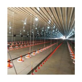 Prefab Steel Structure Poultry Farm Factory - OEM/ODM Chicken Shed Farm Building