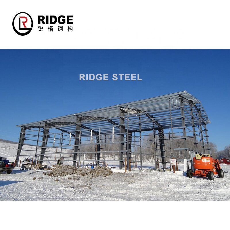 Prefabricated Steel Warehouse Factory - OEM/ODM Industrial Storage Shed Wall Design Prefab