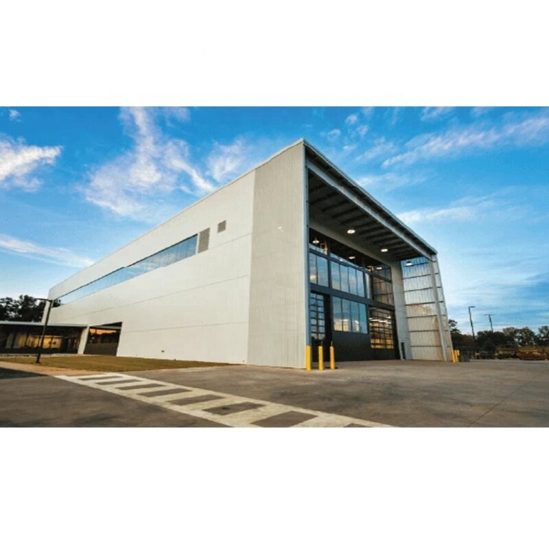 Steel Structure Warehouse Manufacturer - OEM/ODM Metal Skylight Dome Roofing Shed Structural Fabrication