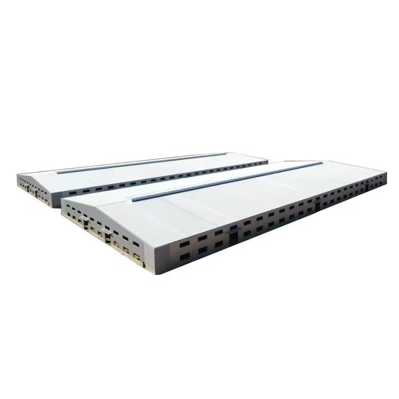 Metal Building Structure Manufacturer - OEM/ODM Factory Price Chinese Supplier for Warehouse