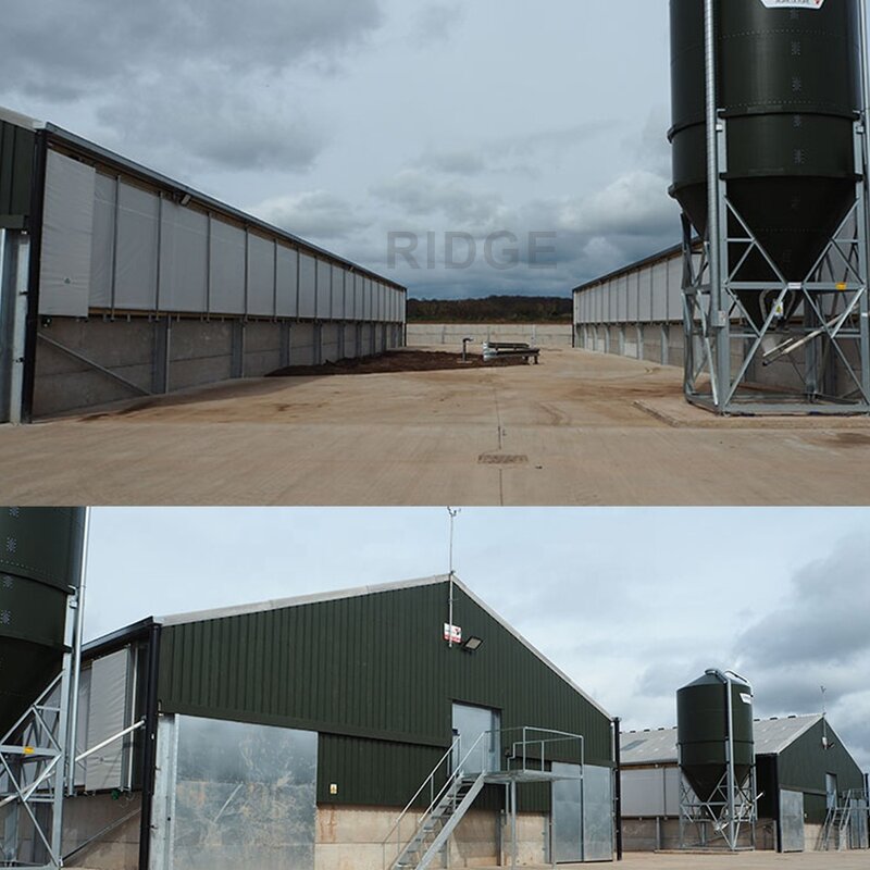Light Steel Frame Sheds Manufacturer - OEM/ODM Pig Farm Equipment and Piggy Cage Sow House