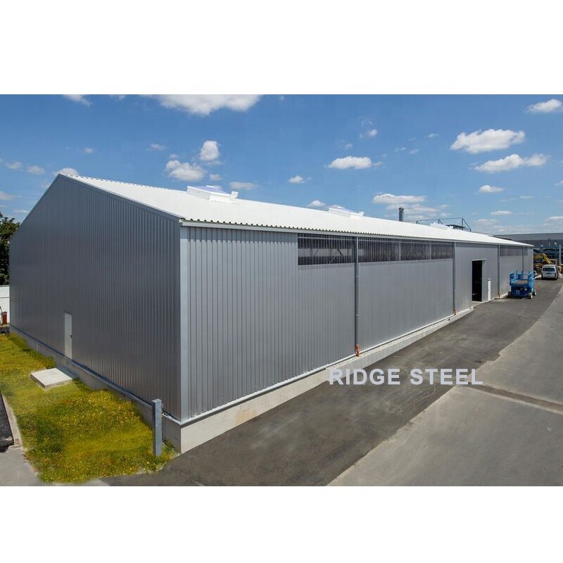 Prefab Warehouse Manufacturer - OEM/ODM Storage Hall Steel Structure Low Coast Fabrication for
