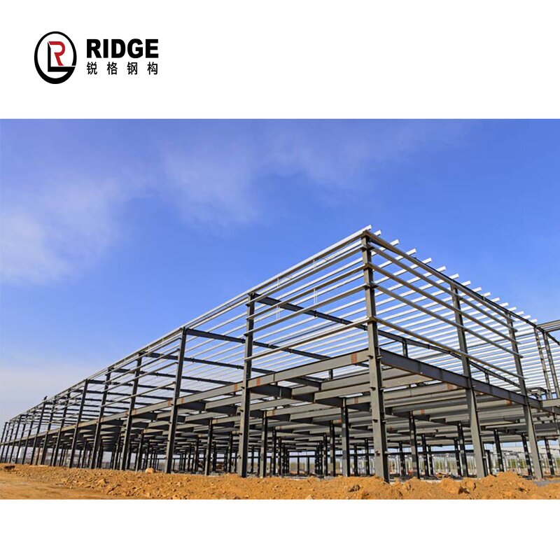Warehouse Aircraft Hangar Manufacturer - OEM/ODM New Design Construction Cost Steel Structure Building