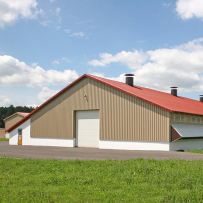 Egg Chicken Breeder Barns Factory - OEM/ODM House and Professional Layer Houses Construction