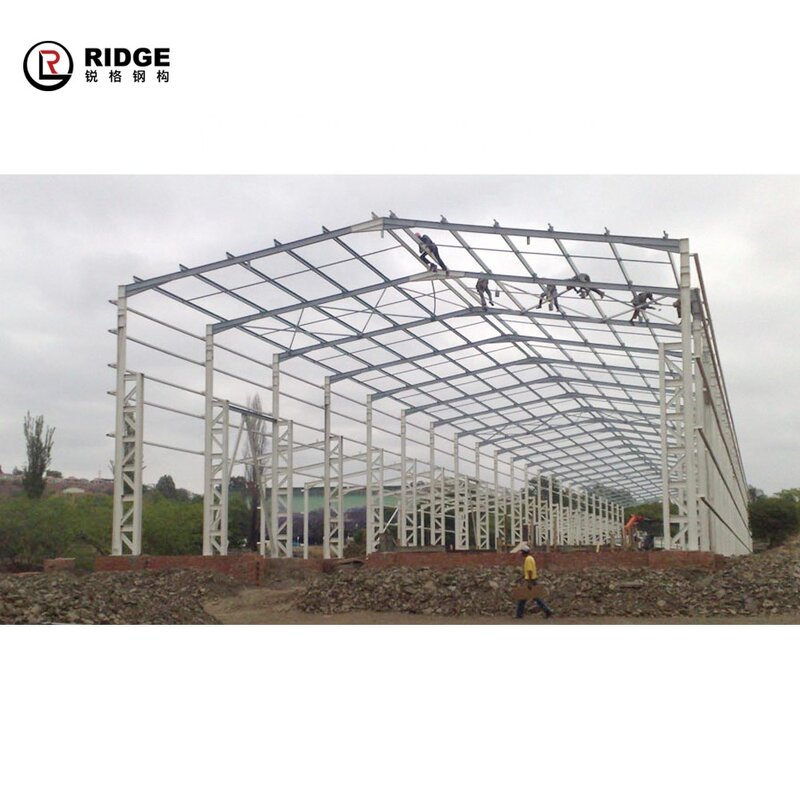 Steel Structure Warehouse Manufacturer - OEM/ODM Metal Skylight Dome Roofing Shed Structural Fabrication