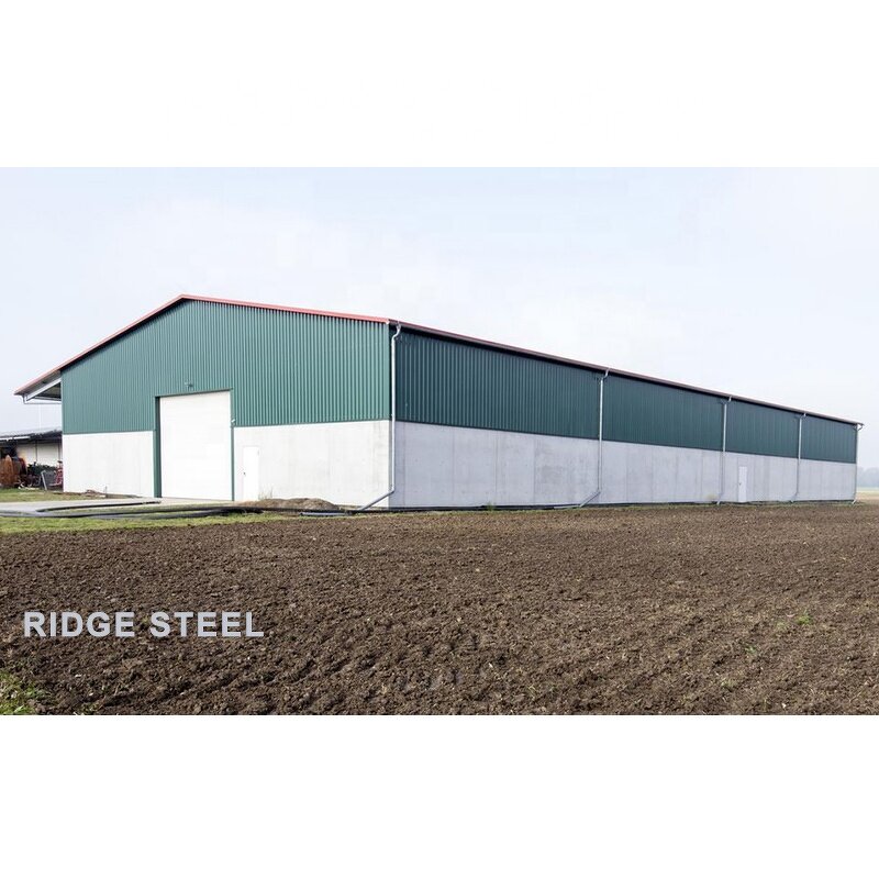 Prefab Warehouse Manufacturer - OEM/ODM Storage Hall Steel Structure Low Coast Fabrication for