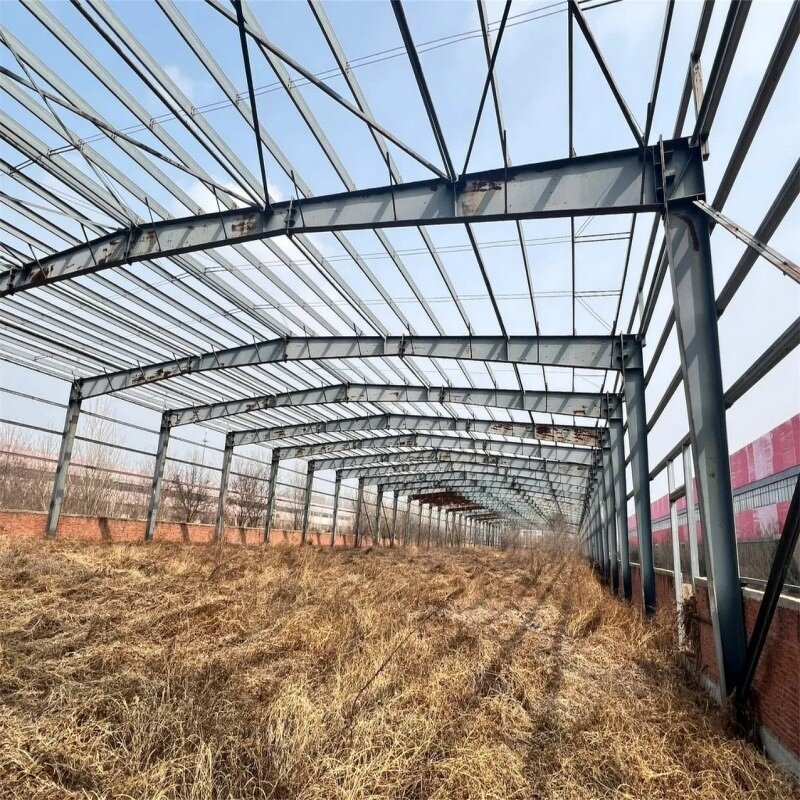 Prefabricated Steel Structure Manufacturer - OEM/ODM Warehouse Horse Barn with Riding Shed Modern