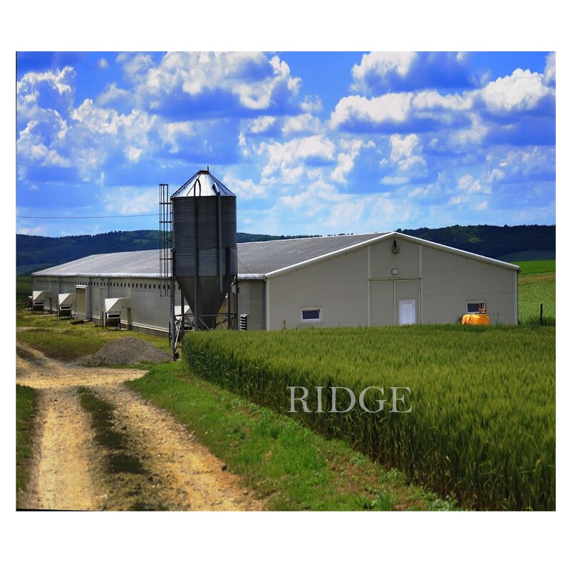 Automatic Poultry Shed Factory - OEM/ODM Farm Building Prefabricated Housing Steel Structure Chicken