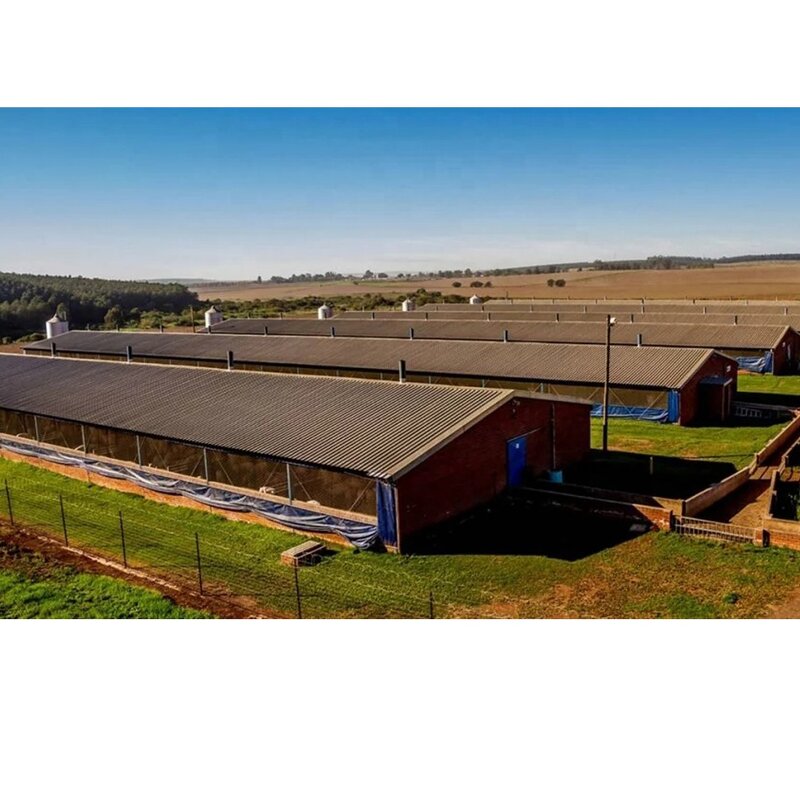 Cow Dairy Farm Design Manufacturer - OEM/ODM 20 Cow Shed Farm Building Cattle Sheds for Flat