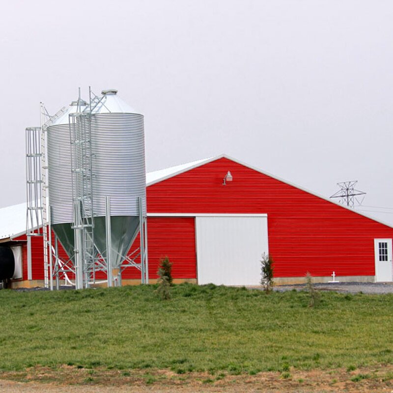 Egg Chicken Breeder Barns Factory - OEM/ODM House and Professional Layer Houses Construction