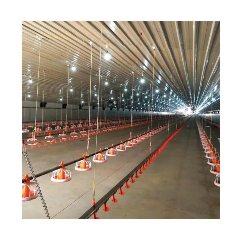 Commercial Metal Buildings Manufacturer - OEM/ODM Fast Assemble Steel Structure Design Poultry Farm