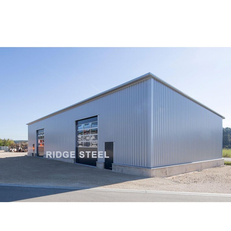 Steel Structure Building Factory - OEM/ODM Building Materials for House Construction with Ce