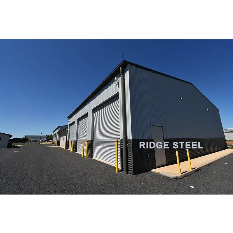 Steel Warehouse Buildings Manufacturer - OEM/ODM Garden Waterproof Building Plans Storage Industrial