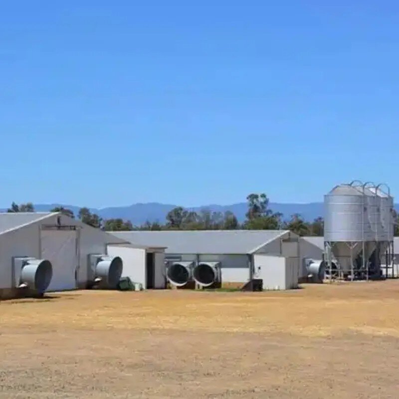 Construction Steel Structures Manufacturer - OEM/ODM Building Kit Barn Shed Stable Barndominium Kits