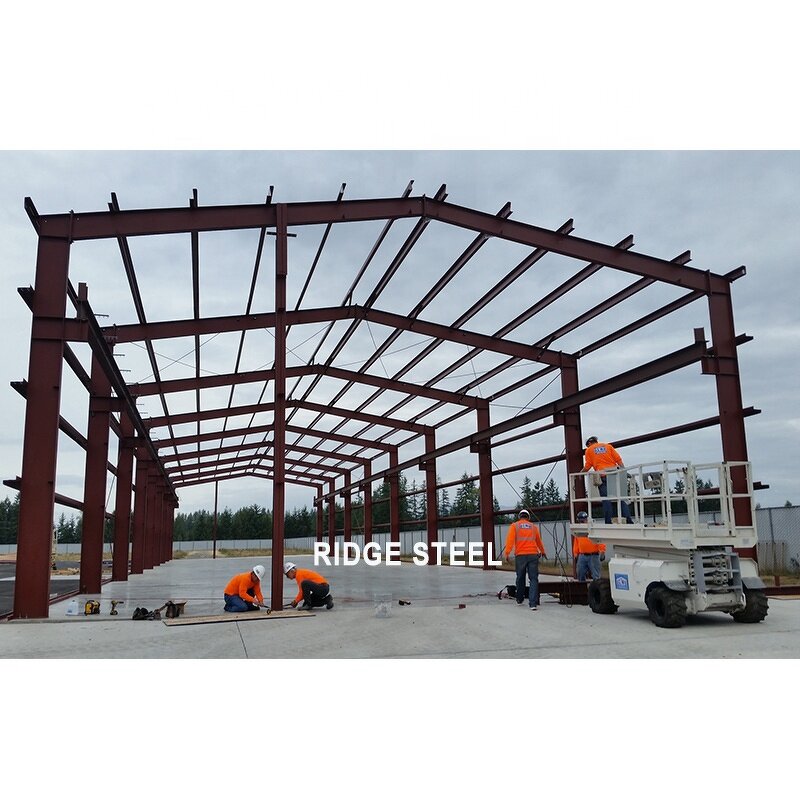 Prefab Metal Workshop Manufacturer - OEM/ODM Modern Industrial Design Self-Storage H Beam Steel