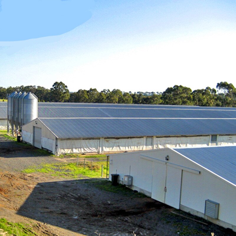Prefabricated Building Factory - OEM/ODM Low Cost High Quality Steel Structure Chicken Shed Poultry