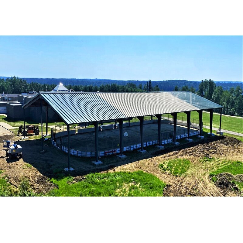 Indoor Gym Manufacturer - OEM/ODM with Metal Frame Construction Steel Structure for Workshops