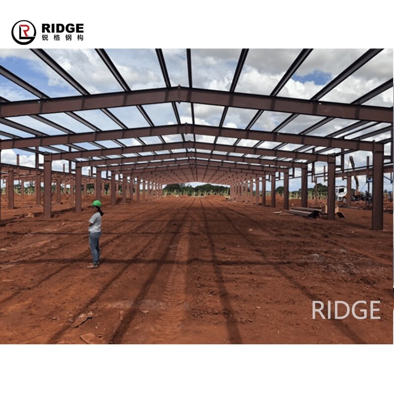 Prefabricated Warehouse Manufacturer - OEM/ODM Metal Building Galvanized Steel Frame Large Span