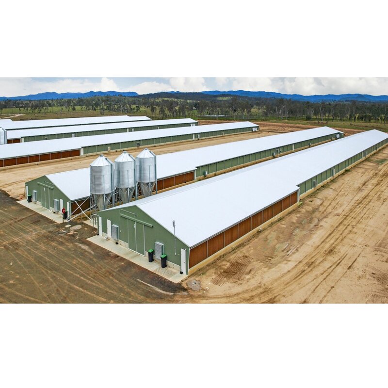 Egg Chicken Breeder Barns Factory - OEM/ODM House and Professional Layer Houses Construction