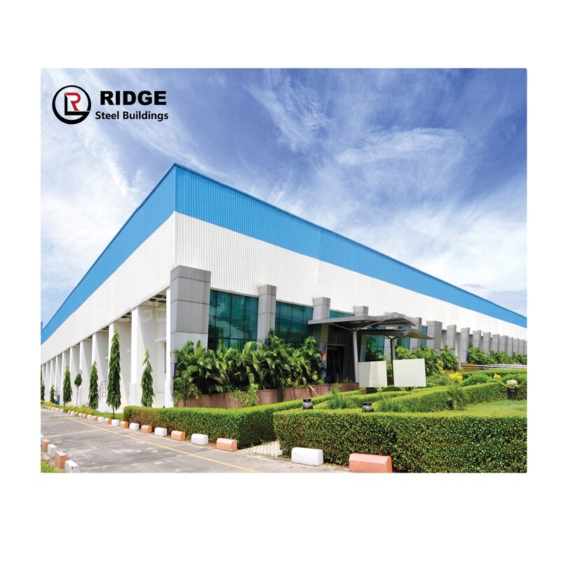 Peb Building Manufacturer - OEM/ODM High Quality Steel Structure Prefabricated Outdoor Large Sheds