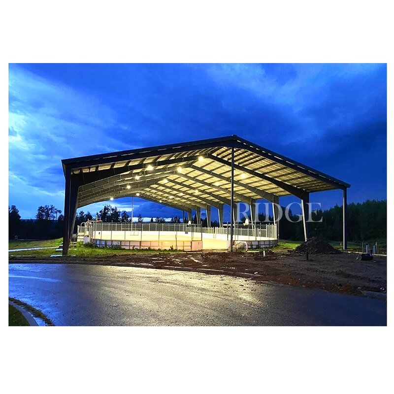 Indoor Gym Manufacturer - OEM/ODM with Metal Frame Construction Steel Structure for Workshops