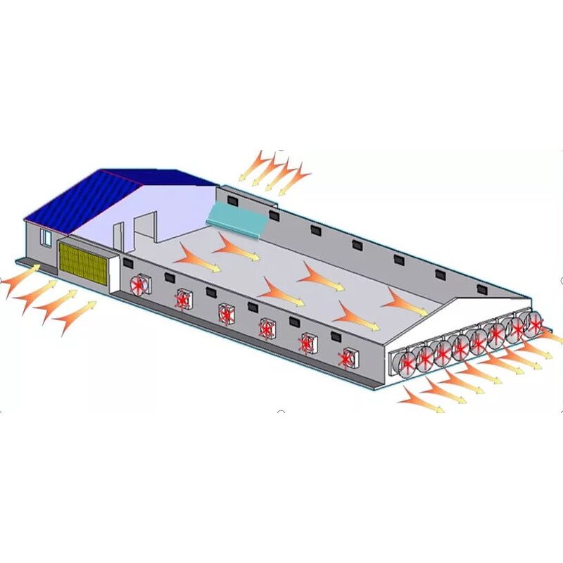Automatic Poultry Shed Factory - OEM/ODM Farm Building Prefabricated Housing Steel Structure Chicken