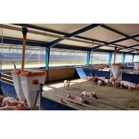 Cow Dairy Farm Design Manufacturer - OEM/ODM 20 Cow Shed Farm Building Cattle Sheds for Flat