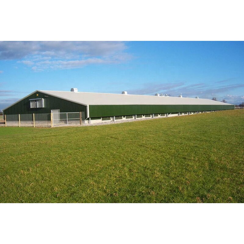 High Strength Steel Framing Factory - OEM/ODM Modern Chicken House 30000 Import Export Building